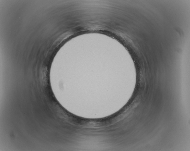 X0000113111265200910091152