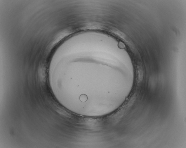 X0000113111266200910091152