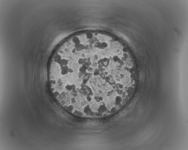 X0000113111267200910091152