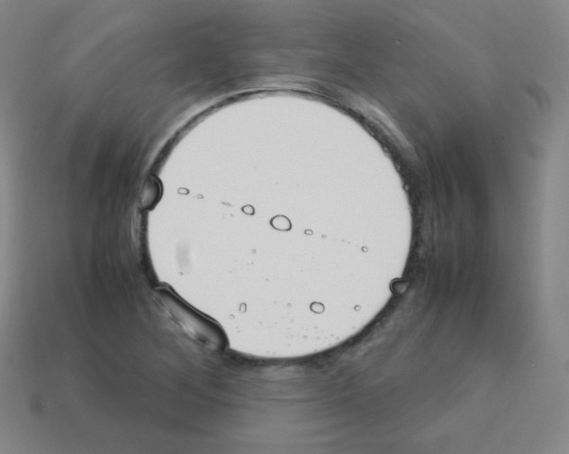 X0000113111268200910091152