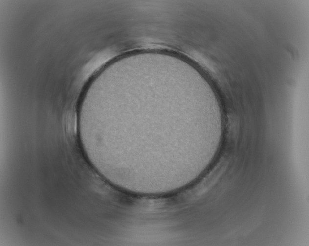 X0000113111269200910091152
