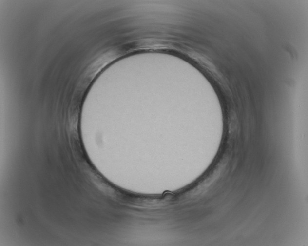 X0000113111273200910091152