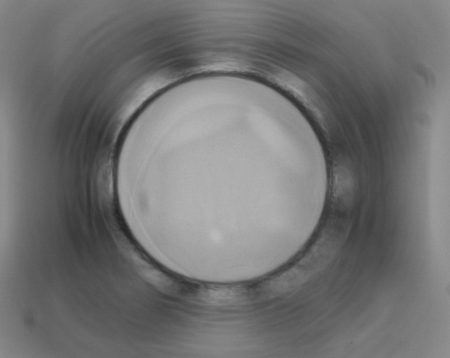 X0000113111274200910091152