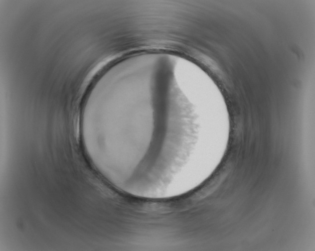 X0000113111275200910091152