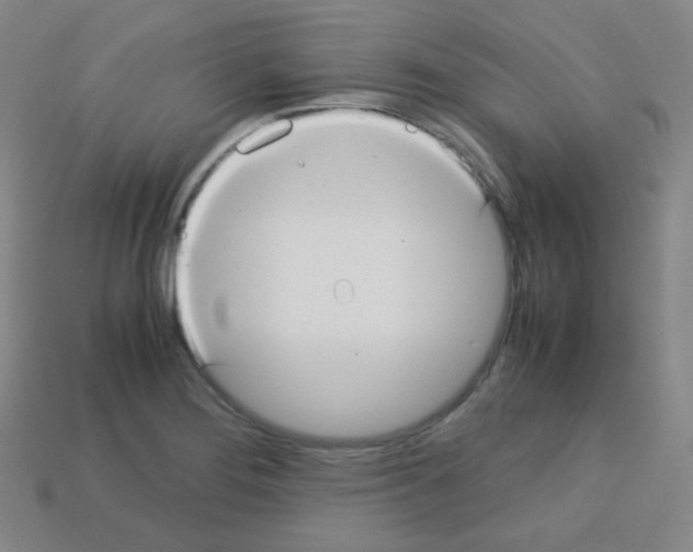X0000113111276200910091152