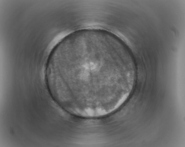 X0000113111277200910091152