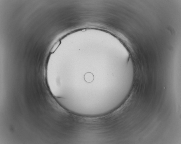 X0000113111280200910091152