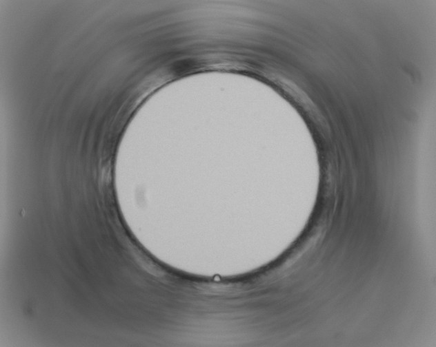 X0000113111281200910091152
