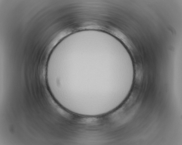 X0000113111282200910091152