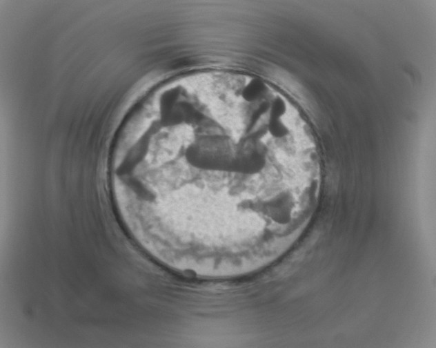 X0000113111283200910091152
