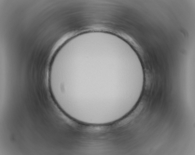 X0000113111286200910091152
