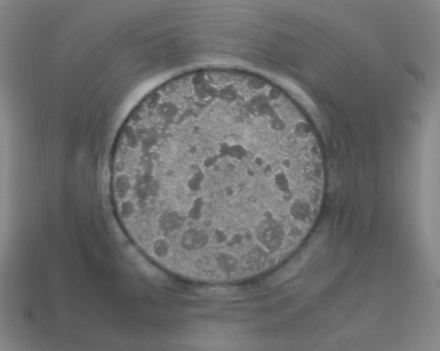 X0000113111287200910091152