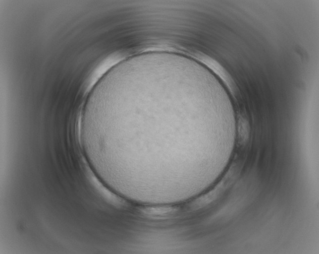 X0000113111290200910091152