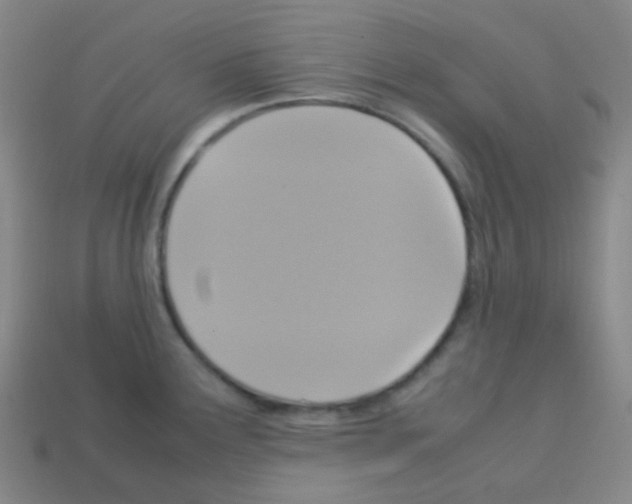 X0000113111291200910091152