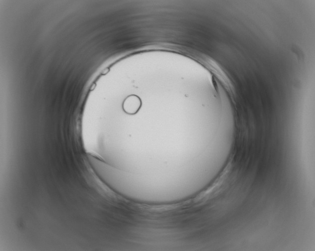 X0000113111292200910091152