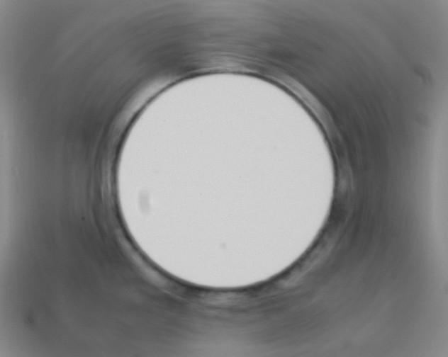 X0000113111293200910091152