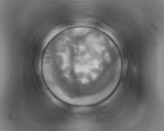X0000113111294200910091152