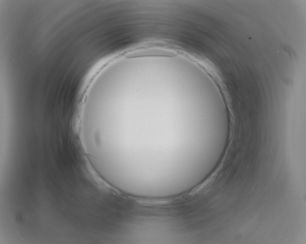 X0000113111296200910091152
