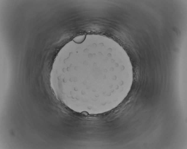 X0000113111297200910091151