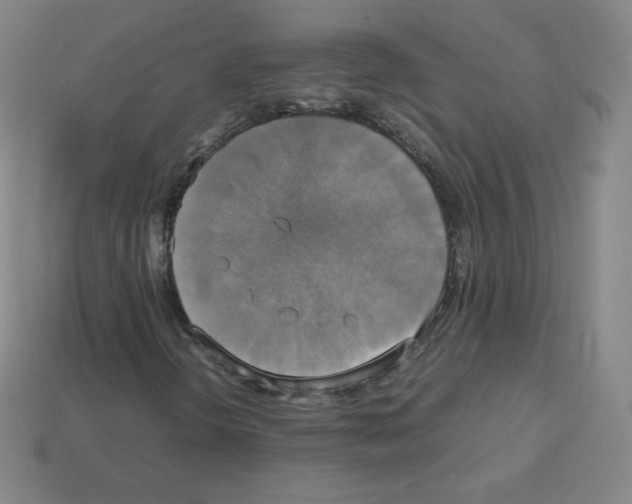 X0000113111298200910091151