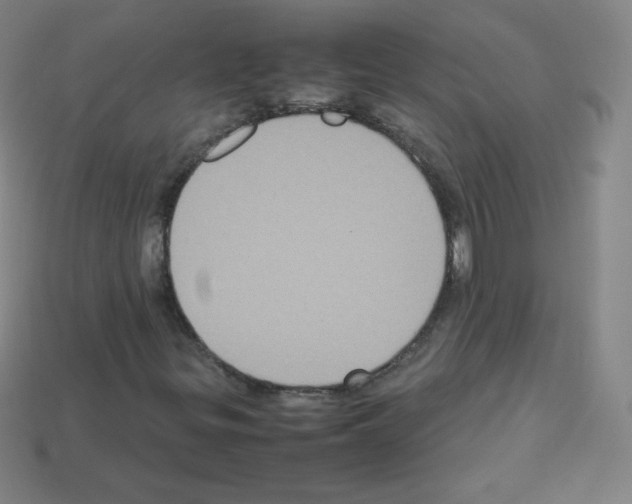 X0000113111299200910091151