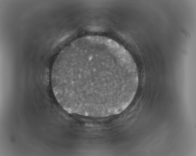 X0000113111301200910091151