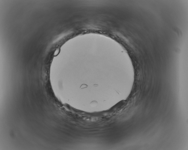 X0000113111303200910091151