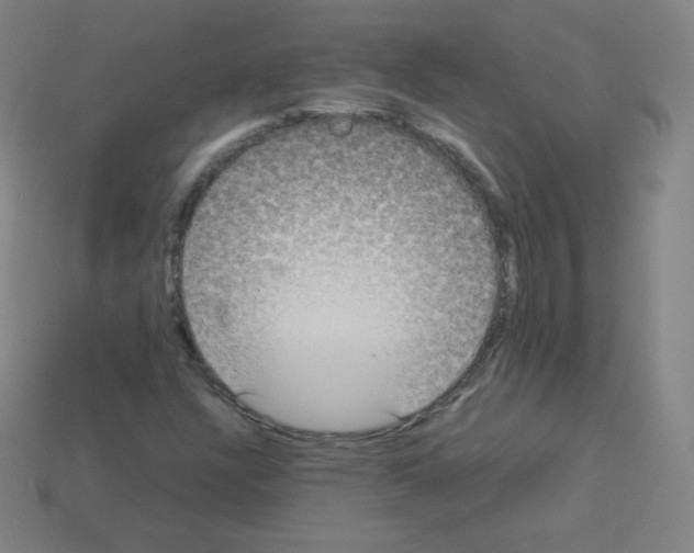 X0000113111304200910091151