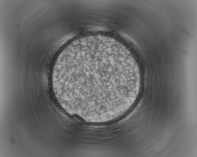 X0000113111305200910091151