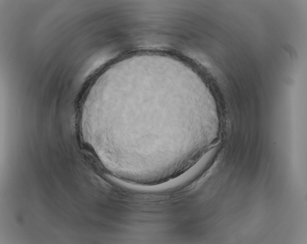 X0000113111306200910091151