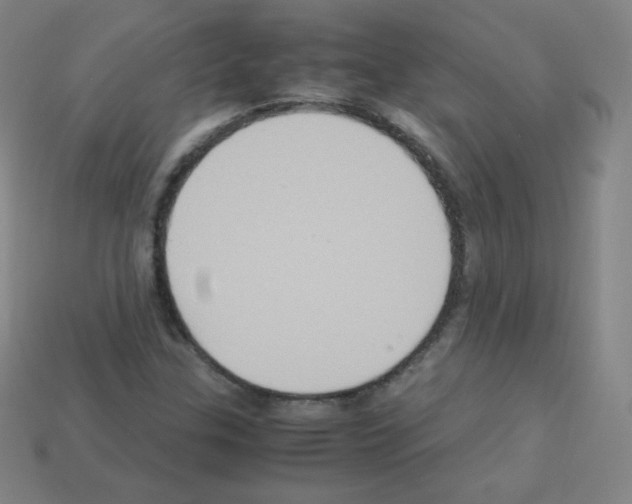 X0000113111307200910091151