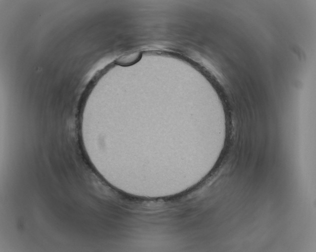 X0000113111308200910091151