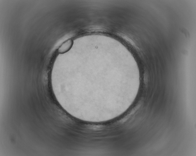 X0000113111309200910091151