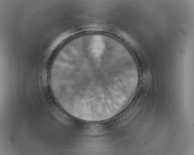 X0000113111310200910091151
