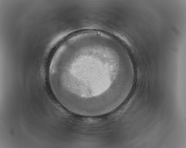 X0000113111311200910091151