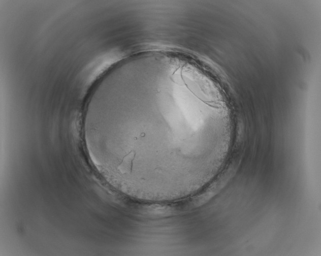X0000113111314200910091151