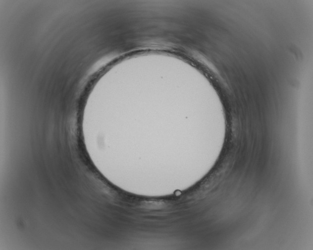 X0000113111315200910091151