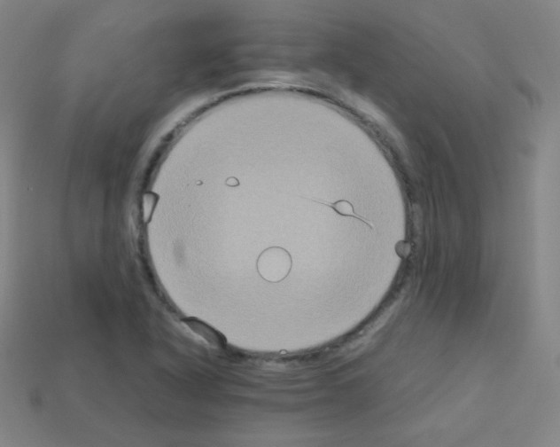 X0000113111318200910091151