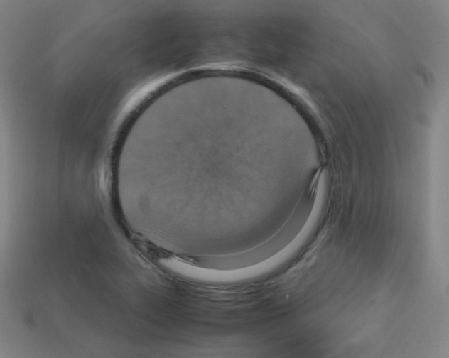 X0000113111319200910091151