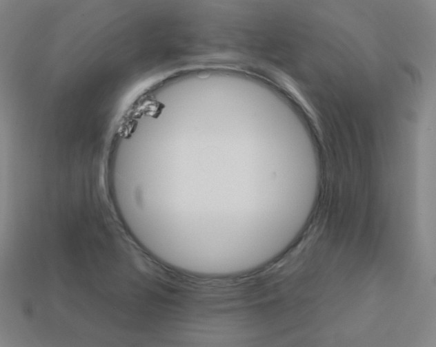 X0000113111320200910091151