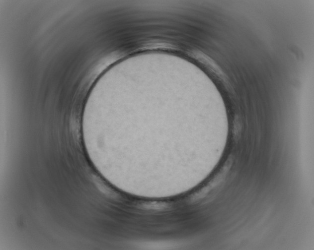 X0000113111321200910091151