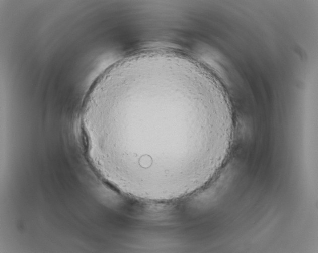 X0000113111322200910091151