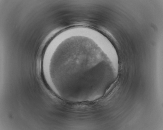 X0000113111323200910091151