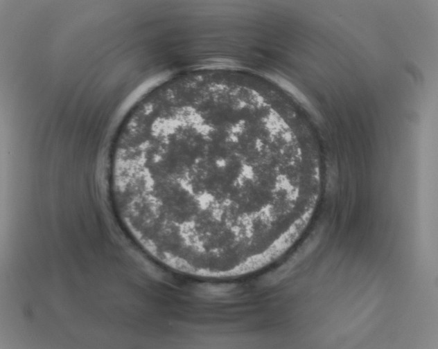 X0000113111325200910091151