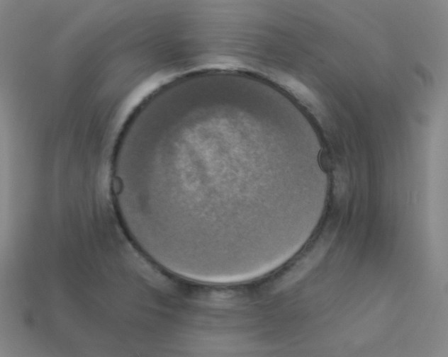 X0000113111326200910091151