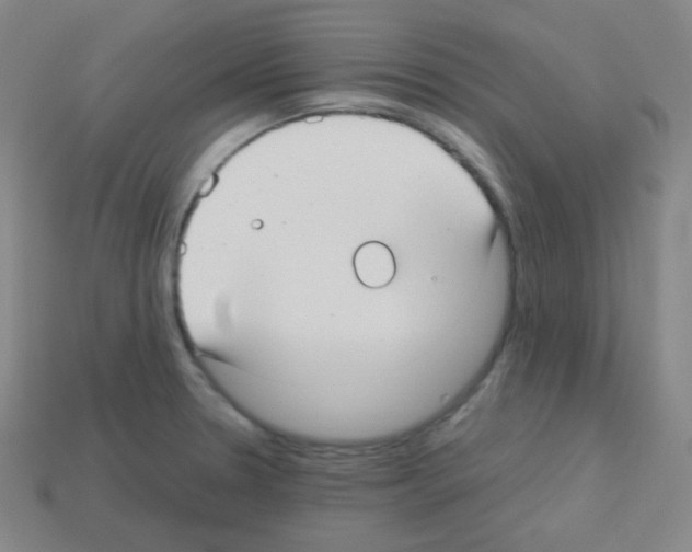 X0000113111330200910091151
