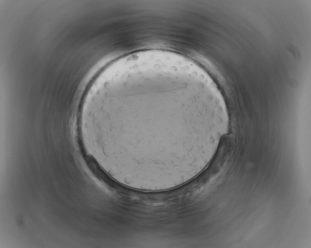 X0000113111331200910091152