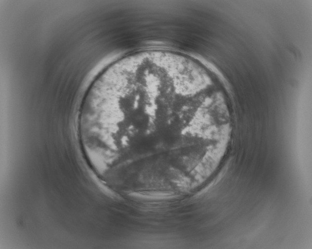X0000113111333200910091152