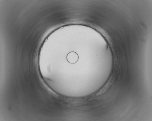 X0000113111334200910091152