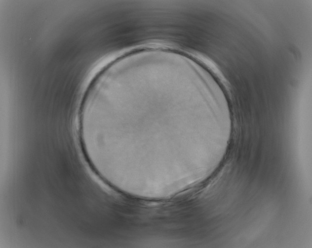X0000113111335200910091152